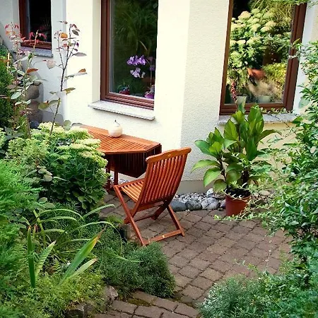 Апартаменты Ferienwohnung-ginkgo-dresden Дрезден