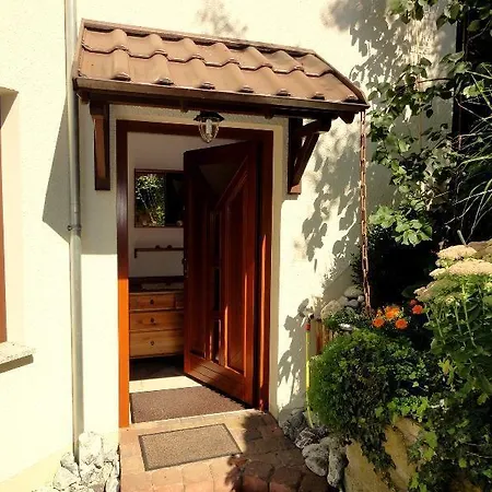 Ferienwohnung-ginkgo-dresden * Дрезден