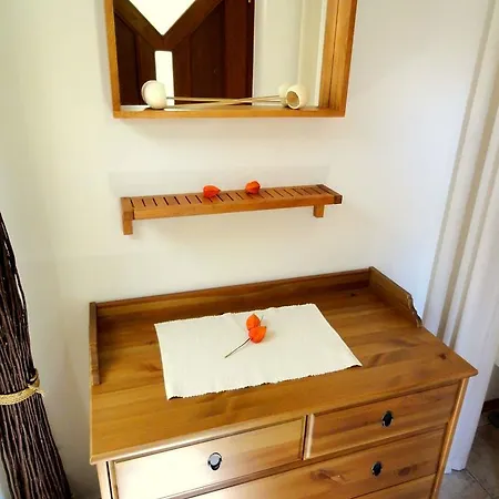 Апартаменты Ferienwohnung-ginkgo-dresden *