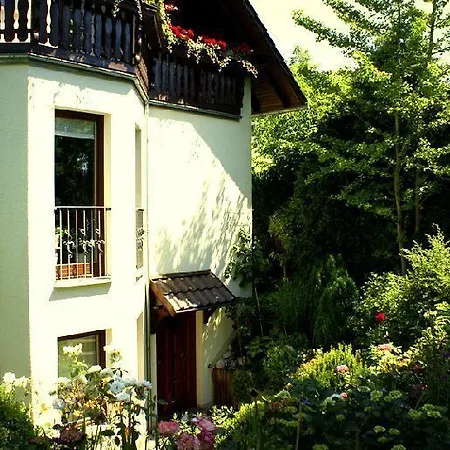 Ferienwohnung-ginkgo-dresden Lägenhet